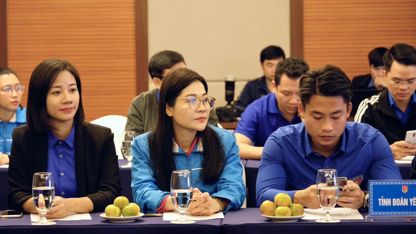 Đại diện các ban, chuyên môn của T.Ư Đoàn và các tỉnh Đoàn trực thuộc tham dự hội nghị.