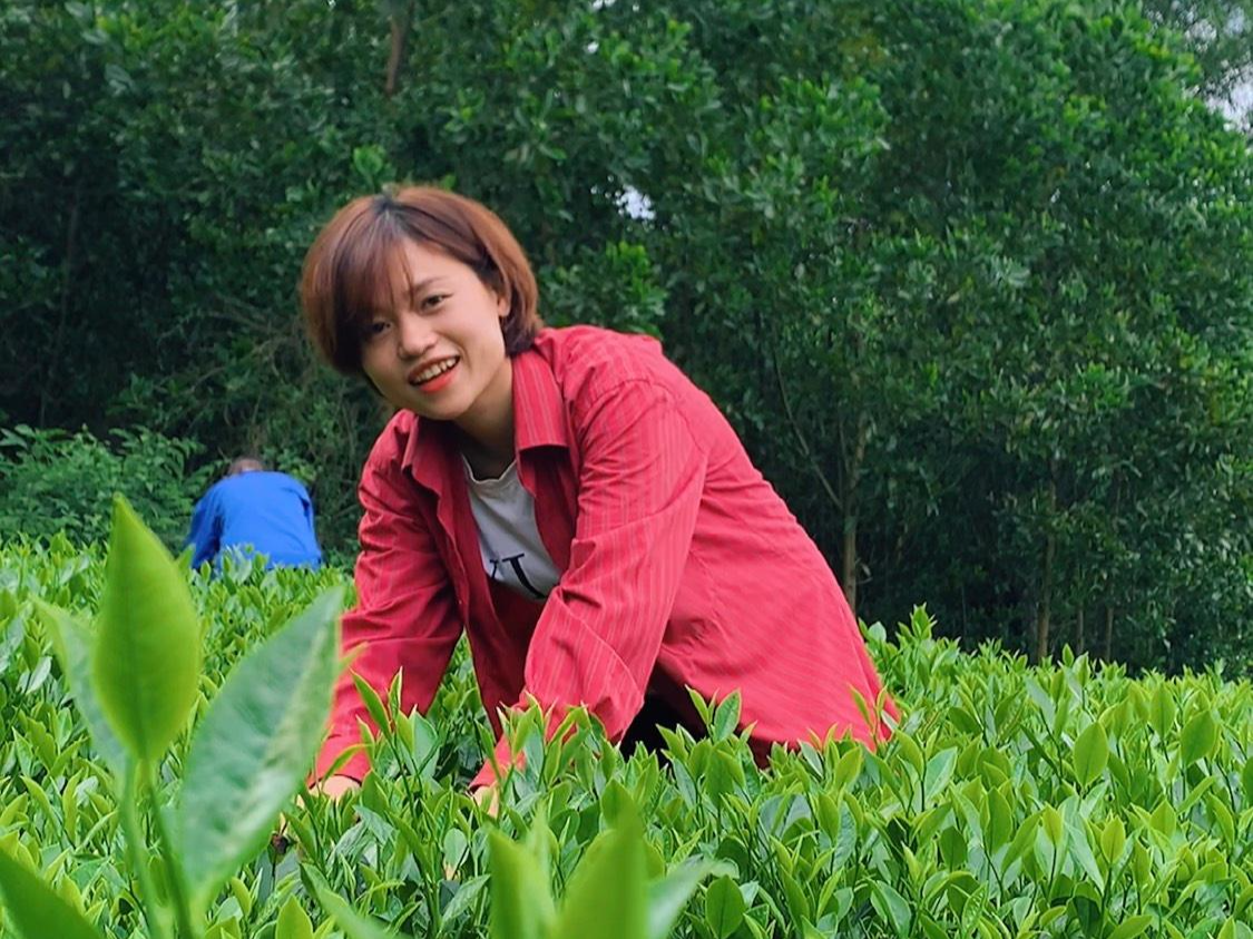 Hải Yến ghi lại khoảnh khắc lao động trên đồi chè ở Thái Nguyên. Ảnh: NVCC Hải Yến ghi lại khoảnh khắc lao động trên đồi chè ở Thái Nguyên. Ảnh: NVCC