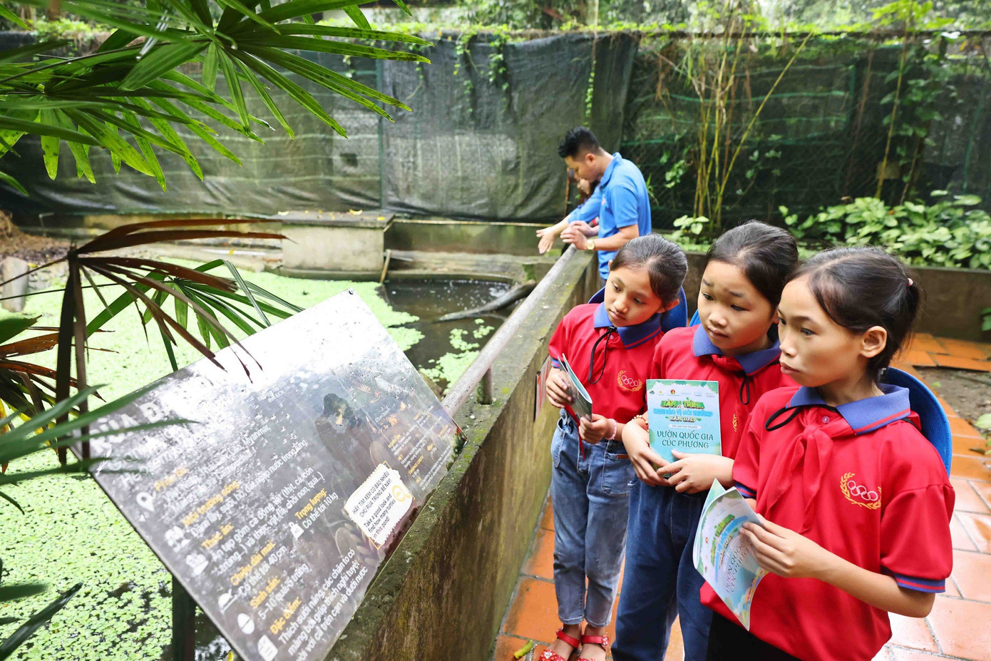 Các em thiếu được trải nghiệm và tham quan các khu bảo tồn bên trong VQG Cúc Phương. Ảnh: Châu Linh Các em thiếu được trải nghiệm và tham quan các khu bảo tồn bên trong VQG Cúc Phương. Ảnh: Châu Linh