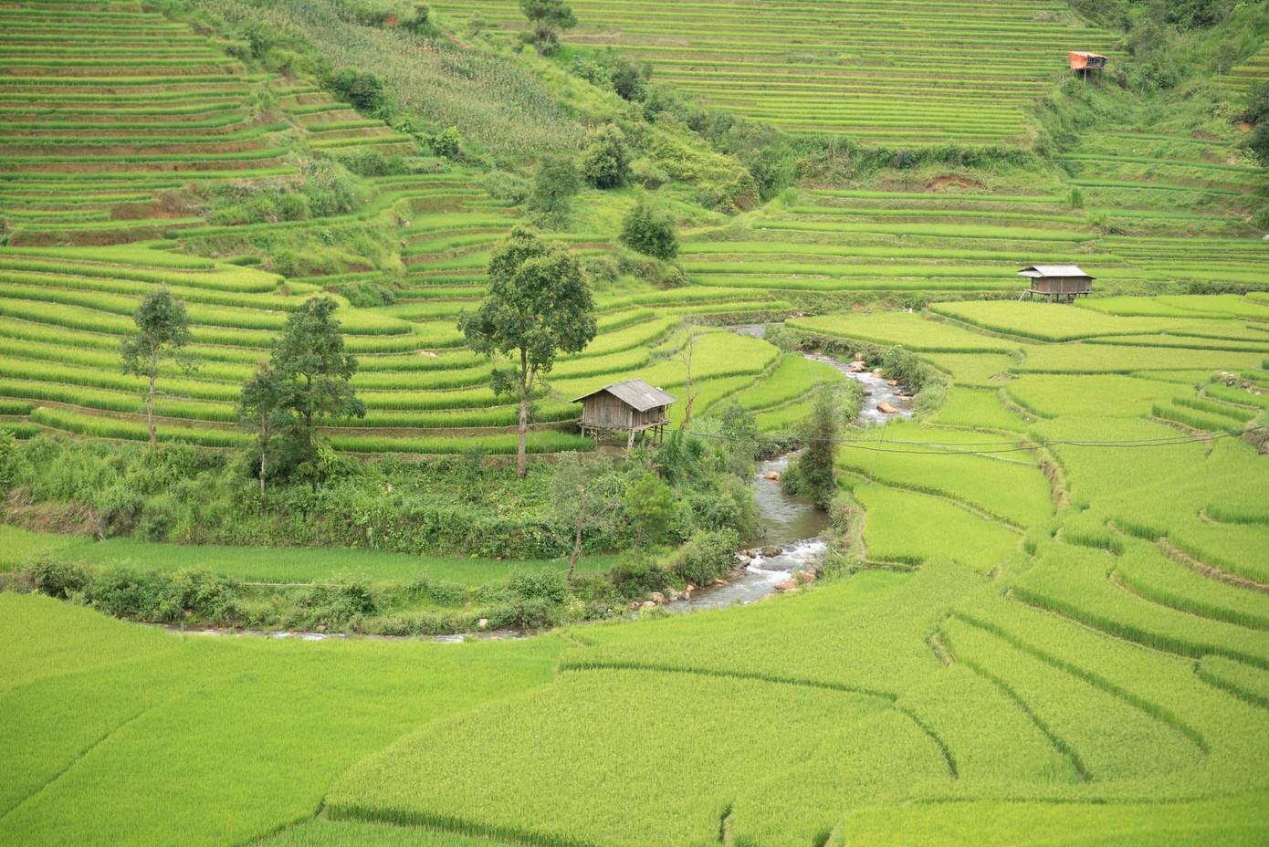 "Quan trọng hơn cả đó là chuẩn bị tinh thần sẵn sàng, đừng lo lắng, đừng sợ hãi, thay vào đó là tâm lý vững vàng, nhưng tôi nghĩ là bất cứ ai khi bắt đầu cũng đều không lo lắng mà thay vào đó là sự háo hức, mong chờ khám phá những mảnh đất mới", cô gái 9x nói.