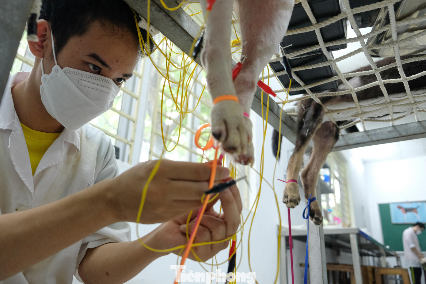 Hoạt động châm cứu diễn ra vào khoảng 9h30 sáng mỗi ngày.