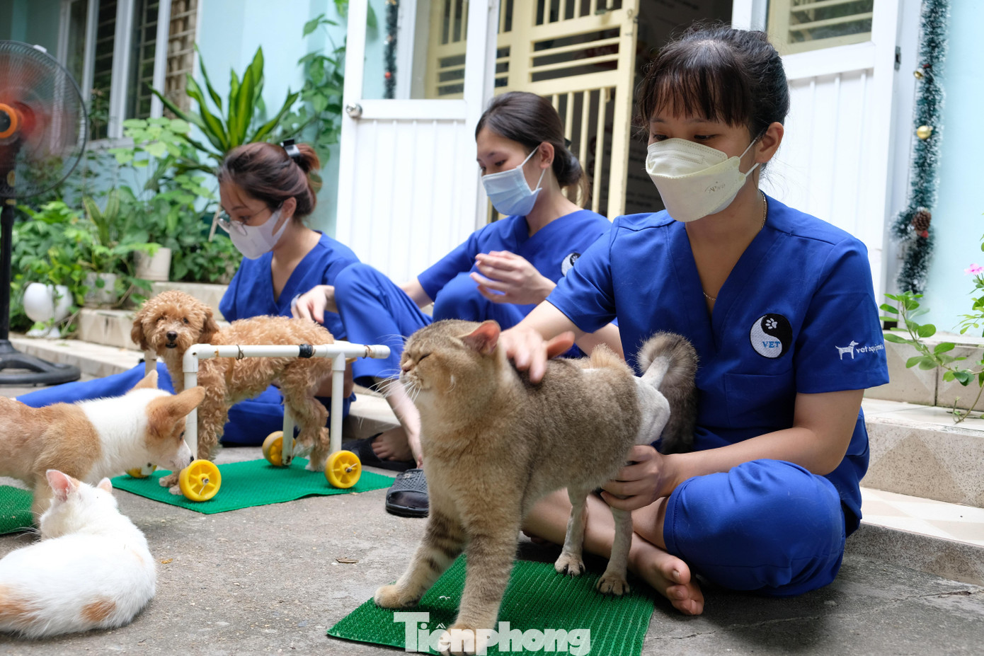 Trong ánh mắt của các bạn sinh viên theo học tại đây, bà giáo Vân luôn là một người đáng kính và ngưỡng mộ.