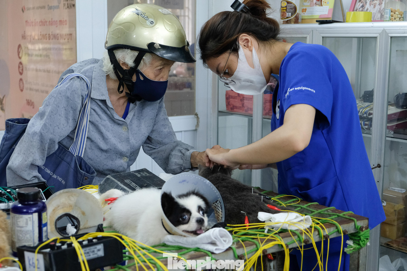 Ngay cả khi chuẩn bị ra về, bà vẫn ân cần chỉ dạy cho các bạn sinh viên những kỹ năng chăm sóc vật nuôi.