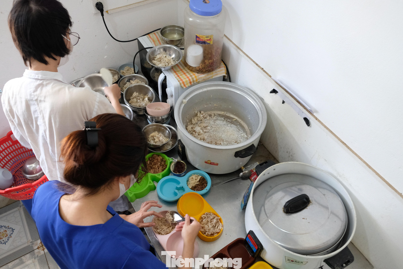 Thức ăn cho chó, mèo tại đây luôn được đảm bảo dinh dưỡng như ức gà, pa tê, cơm trộn...