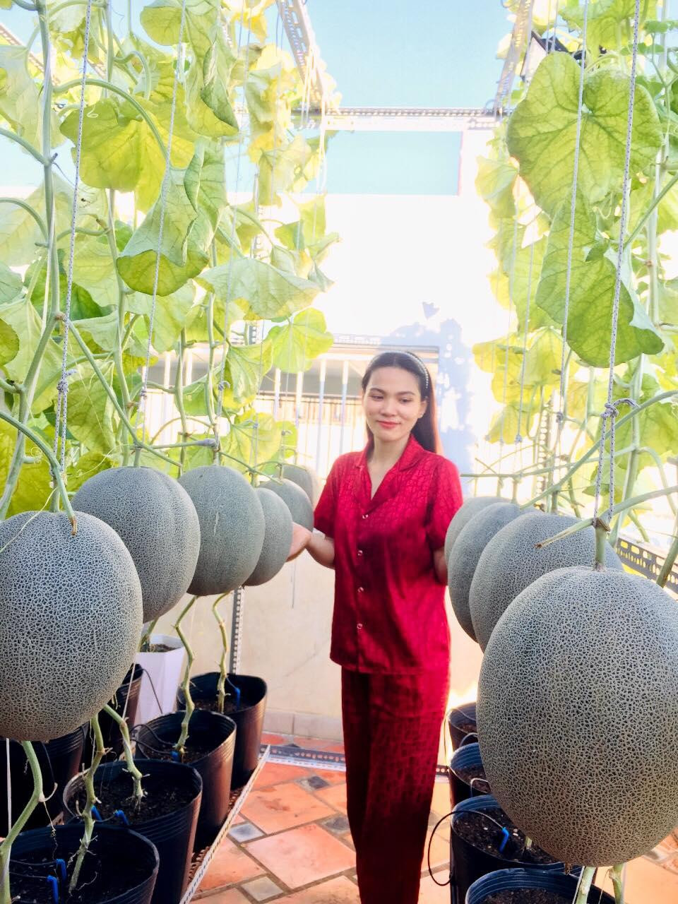 Mỗi ngày, chị Ngọc Ánh đều dành một khoảng thời gian nhất định để chăm sóc vườn rau quả của gia đình, vừa để thư giãn sau giờ làm việc căng thẳng vừa có thực phẩm sạch sử dụng trong bữa ăn hàng ngày. Mỗi ngày, chị Ngọc Ánh đều dành một khoảng thời gian nhất định để chăm sóc vườn rau quả của gia đình, vừa để thư giãn sau giờ làm việc căng thẳng vừa có thực phẩm sạch sử dụng trong bữa ăn hàng ngày.