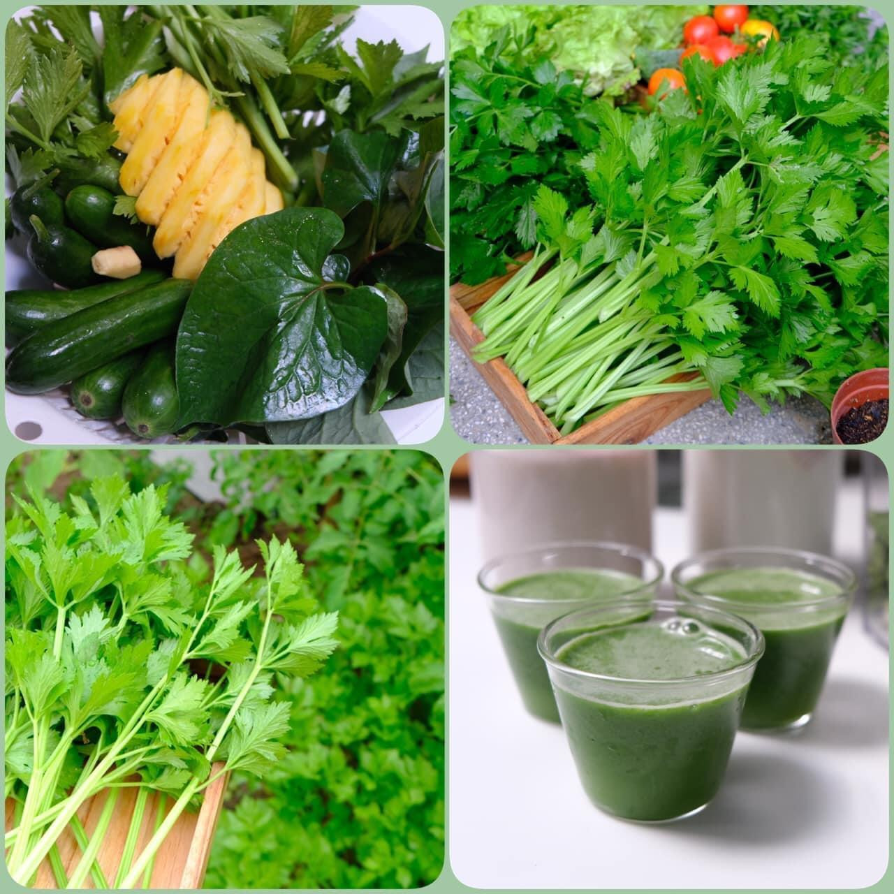 Ánh Minh sử dụng sản phẩm chính tay mình trồng để làm nước ép uống thường xuyên. Ánh Minh sử dụng sản phẩm chính tay mình trồng để làm nước ép uống thường xuyên.