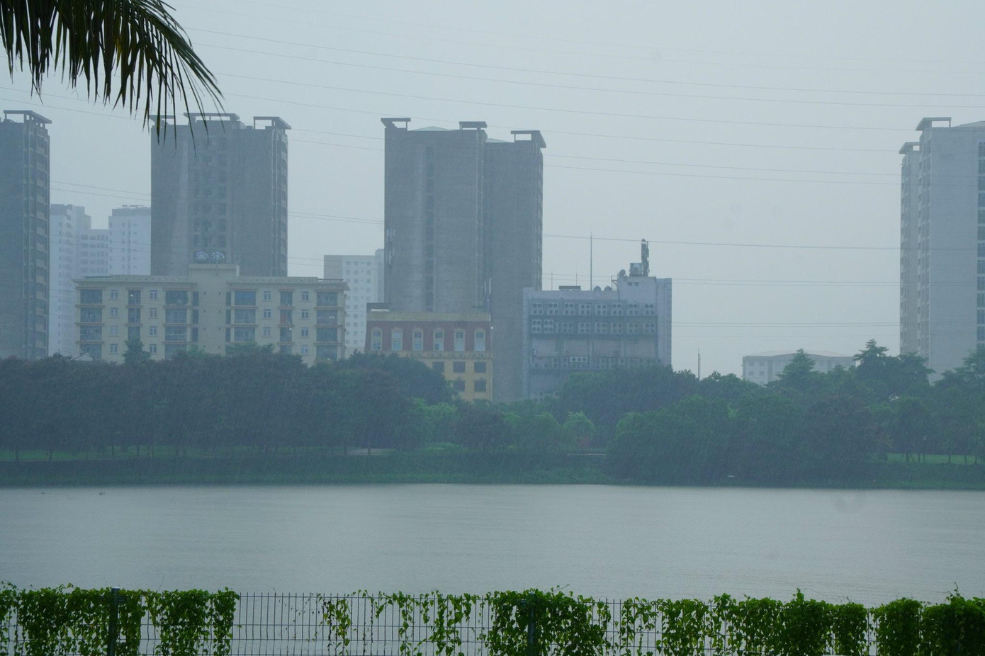 Cơn mưa giải nhiệt cho phố phường Hà Nội sau những ngày nắng nóng Cơn mưa giải nhiệt cho phố phường Hà Nội sau những ngày nắng nóng