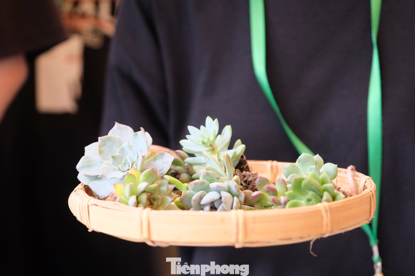 &quot;Bớt một cọng rác, thêm một mầm xanh&quot; là thông điệp của dự án muốn gửi tới các bạn trẻ khi đến đổi rác, lấy cây. Không chỉ vậy, dự án còn nhận được sự quan tâm của nhiều người qua con số gần 200 nghìn người theo dõi trên fanpage. Ảnh: Diệu Nhi