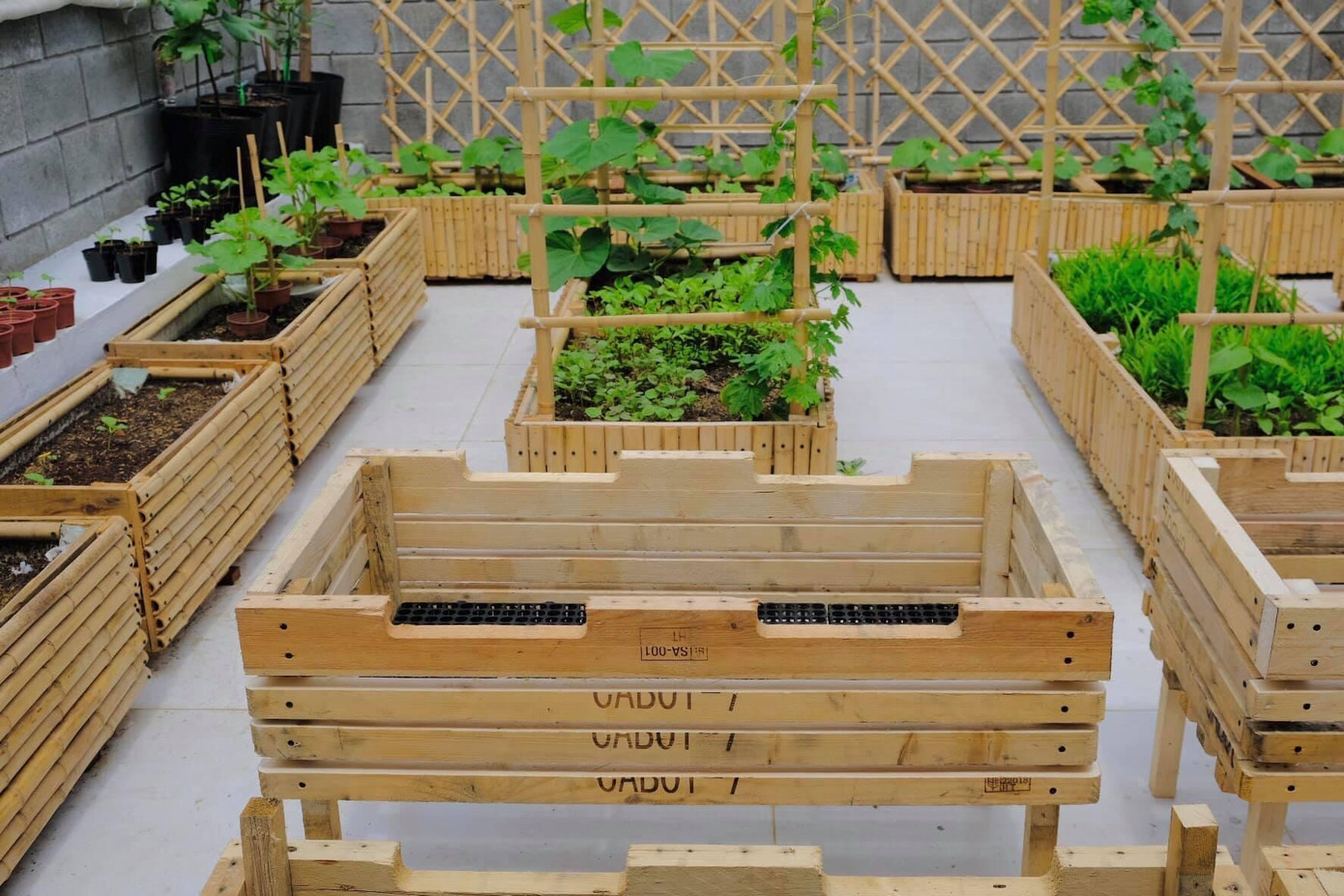 Các thùng gỗ được chị Minh lên ý tưởng và phân chia mặt bằng sân thượng, xác định tỉ lệ chiều cao phù hợp rồi tự đóng theo kích thước mong muốn cá nhân, đáp ứng được nhu cầu sinh trưởng của từng loại cây, rau. Cấu tạo bên trong thùng gỗ phải đáp ứng các tiêu chí: Tỉ lệ cân đối - Kích thước phù hợp với bộ rễ của từng loại cây trồng - Thoát nước tốt - Giữ ẩm tốt - Chống trôi đất làm bẩn sân thượng. Các thùng gỗ được chị Minh lên ý tưởng và phân chia mặt bằng sân thượng, xác định tỉ lệ chiều cao phù hợp rồi tự đóng theo kích thước mong muốn cá nhân, đáp ứng được nhu cầu sinh trưởng của từng loại cây, rau. Cấu tạo bên trong thùng gỗ phải đáp ứng các tiêu chí: Tỉ lệ cân đối - Kích thước phù hợp với bộ rễ của từng loại cây trồng - Thoát nước tốt - Giữ ẩm tốt - Chống trôi đất làm bẩn sân thượng.