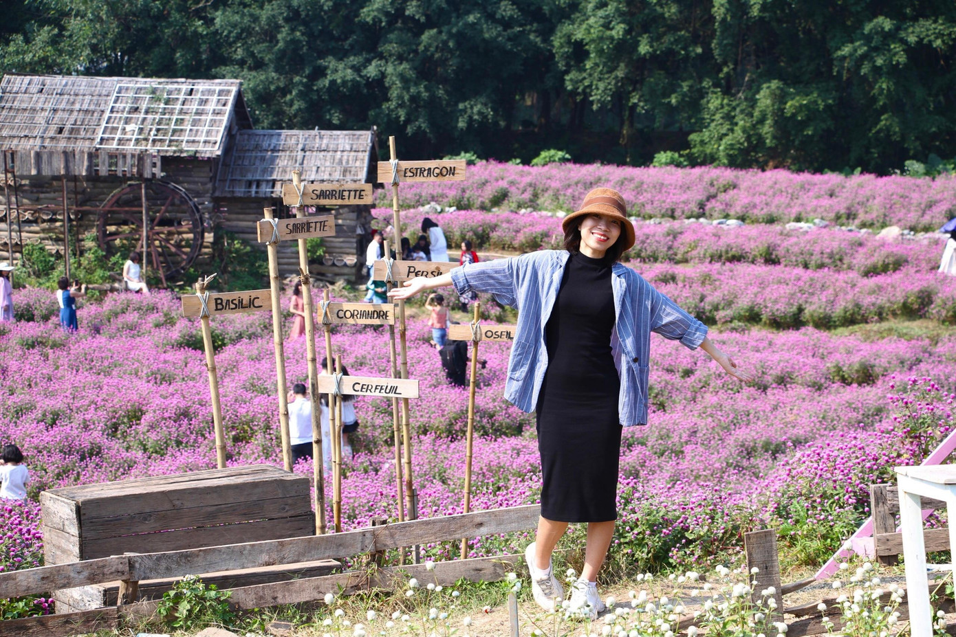 Là một bạn trẻ yêu thích chụp ảnh, Nguyệt Mai (21 tuổi, Hà Nội) chia sẻ: &quot;Mình đã xem ảnh vườn cúc bách nhật trên một số hội nhóm, không ngờ khi đến trực tiếp lại đẹp hơn rất nhiều. Không chỉ vậy, mình nghĩ đây là không gian thích hợp để rủ bạn bè tới đây thư giãn, nạp năng lượng cho một tuần làm việc mới.