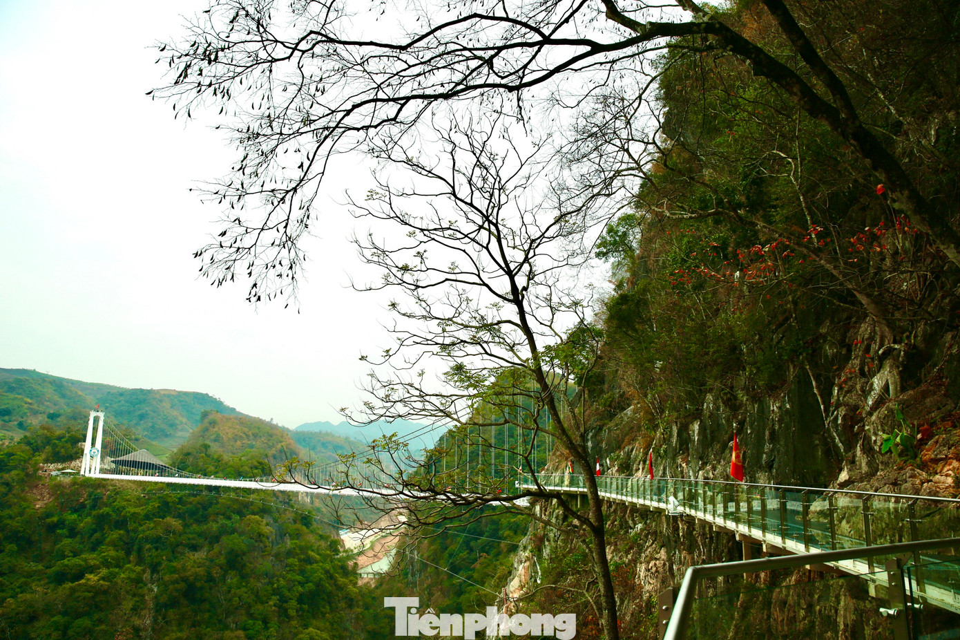 Chi phí để trải nghiệm cầu kính dài nhất thế giới dao động từ 450 nghìn đồng đến 650 nghìn đồng tùy đối tượng. Ở điểm cuối của cây cầu, du khách được dẫn đến hang Chim Thần, một hang động thiên nhiên "quyến rũ" và đầy kỳ bí gắn với câu chuyện kể về nơi cư trú của một bộ phận người dân tộc Thái bên những "vết tích" văn hóa. Ảnh: Hồng Vĩnh