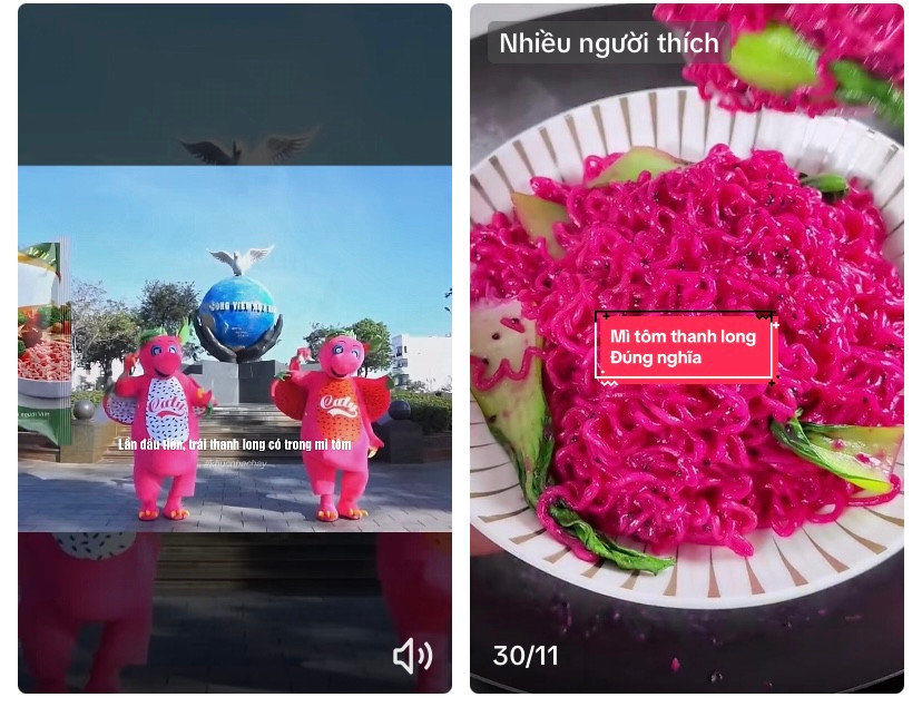 Câu hát "Lần đầu tiên trái thanh long có trong mỳ tôm" được lan truyền khắp các trang mạng xã hội. Ảnh: TikTok