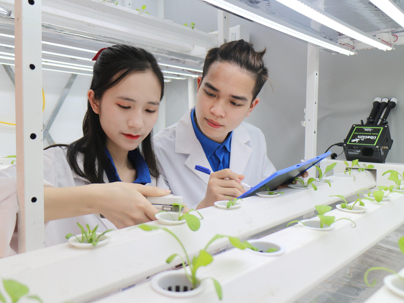 Vân đang thực hành tại phòng thí nghiệm.