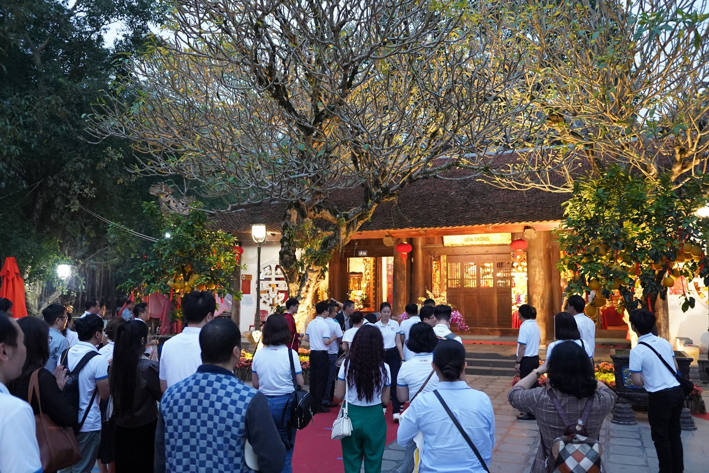 Đoàn đại biểu dâng hương tại danh thắng Tây Thiên.