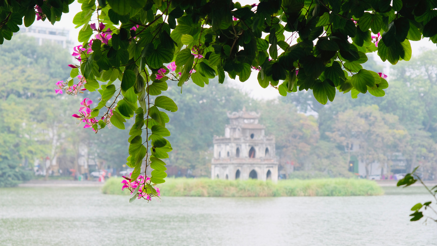 Phố đi bộ Hồ Gươm không chỉ là nơi mọi người có thể đi dạo, vui chơi, giao lưu, trò chuyện, mà còn là nơi diễn ra các trò chơi dân gian, hoạt động văn hóa nghệ thuật... Đặc biệt, nơi đây cũng là lựa chọn của nhiều bạn trẻ chụp ảnh trong dịp Tết. Sau 5 năm làm việc tại Nhật Bản, bạn Nguyễn Thị Diệp (24 tuổi, quê ở Hưng Yên) trở về Hà Nội và ngỡ ngàng trước sự thay đổi về phong cảnh, sự nhộn nhịp của Thủ đô. Đặc biệt, phố đi bộ Hồ Gươm đã lưu giữ nhiều kỷ niệm của Diệp cùng bạn bè trong những năm sống ở Hà Nội. Vì vậy, cô bạn quyết định chụp bộ ảnh áo dài đón Tết tại đây. Ảnh: Diệu Nhi