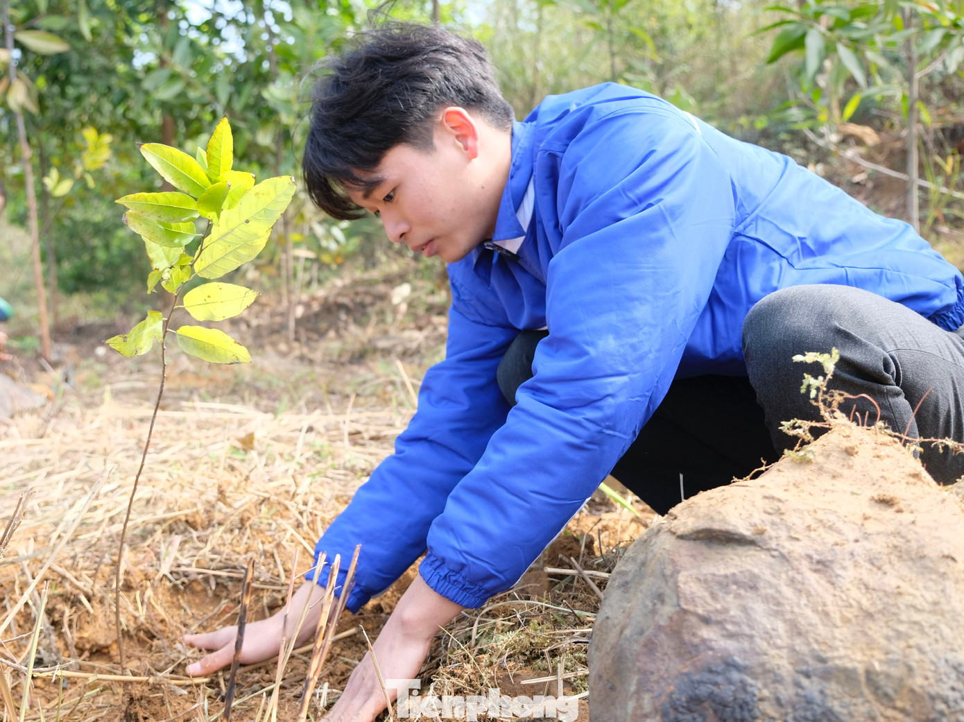Đoàn viên thanh niên tích cực hưởng ứng trồng, chăm sóc cây xanh. Ảnh: Châu Linh