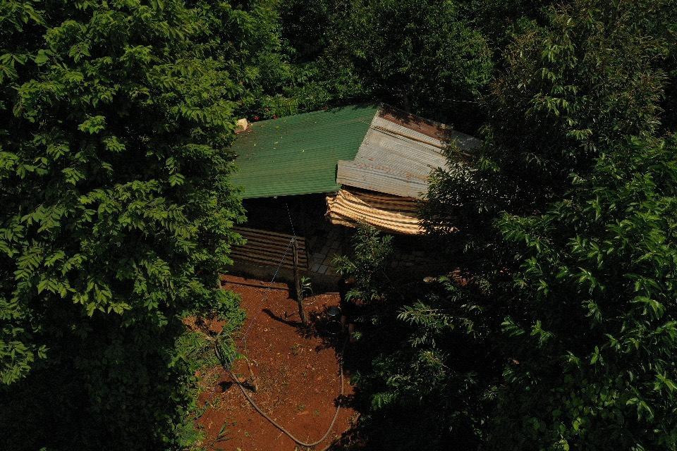 Căn chòi giữa rừng của gia đình trước đây được dùng để cha mẹ nghỉ ngơi giữa trưa khi đi làm rẫy.