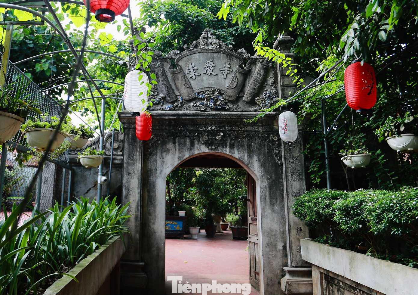 Hệ thống tượng Phật cùng quần thể kiến trúc độc đáo đã làm nên những giá trị nghệ thuật, văn hóa - lịch sử đặc biệt của chùa Mía.