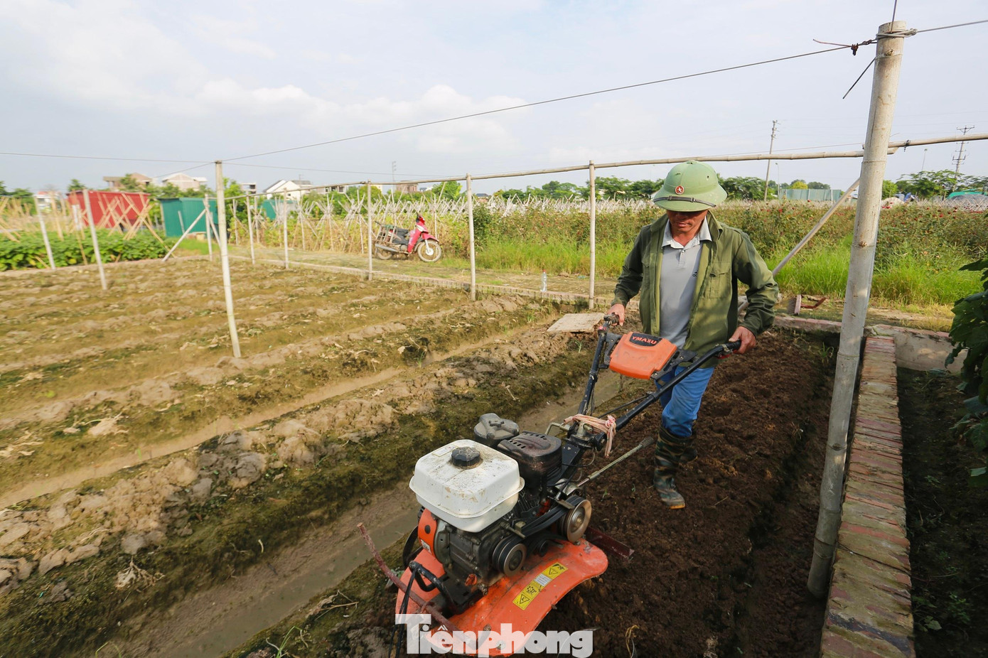 Một số gia đình bắt đầu cải tạo lại đất, chờ gieo vụ mới.