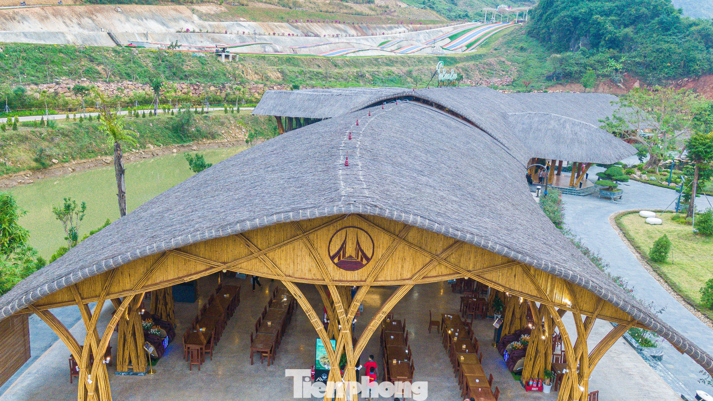 Nhà tre Tabamboo có diện tích 2.950m2.