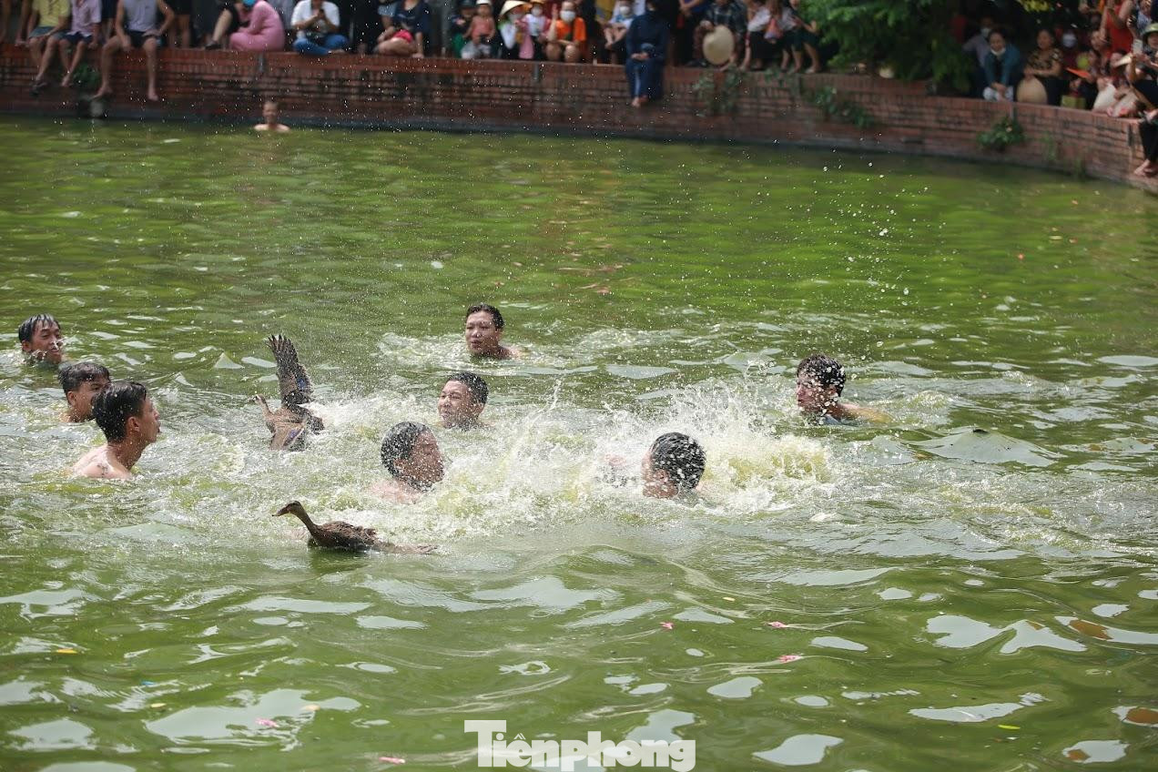 Năm nay, ban tổ chức cuộc thi bắt vịt đã thả khoảng 50 con vịt xuống hồ, theo đó, người dân sẽ ném hàng trăm quả bưởi xuống ao để vịt bay tứ tung, thử thách người chơi.