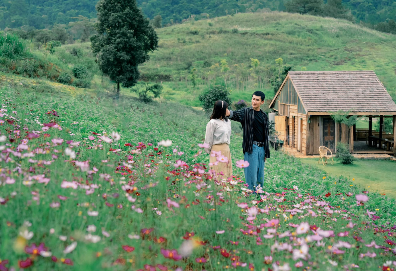 Nhiếp ảnh gia cho biết, để tạo nên những hình ảnh yên bình và thơ mộng, anh thường canh góc lạ và đẹp mà chưa ai nhìn ra, lấy hết view đồi núi hùng vĩ, hoa làm nền và ngôi nhà nhỏ tạo nên khung cảnh đẹp trên thảo nguyên...