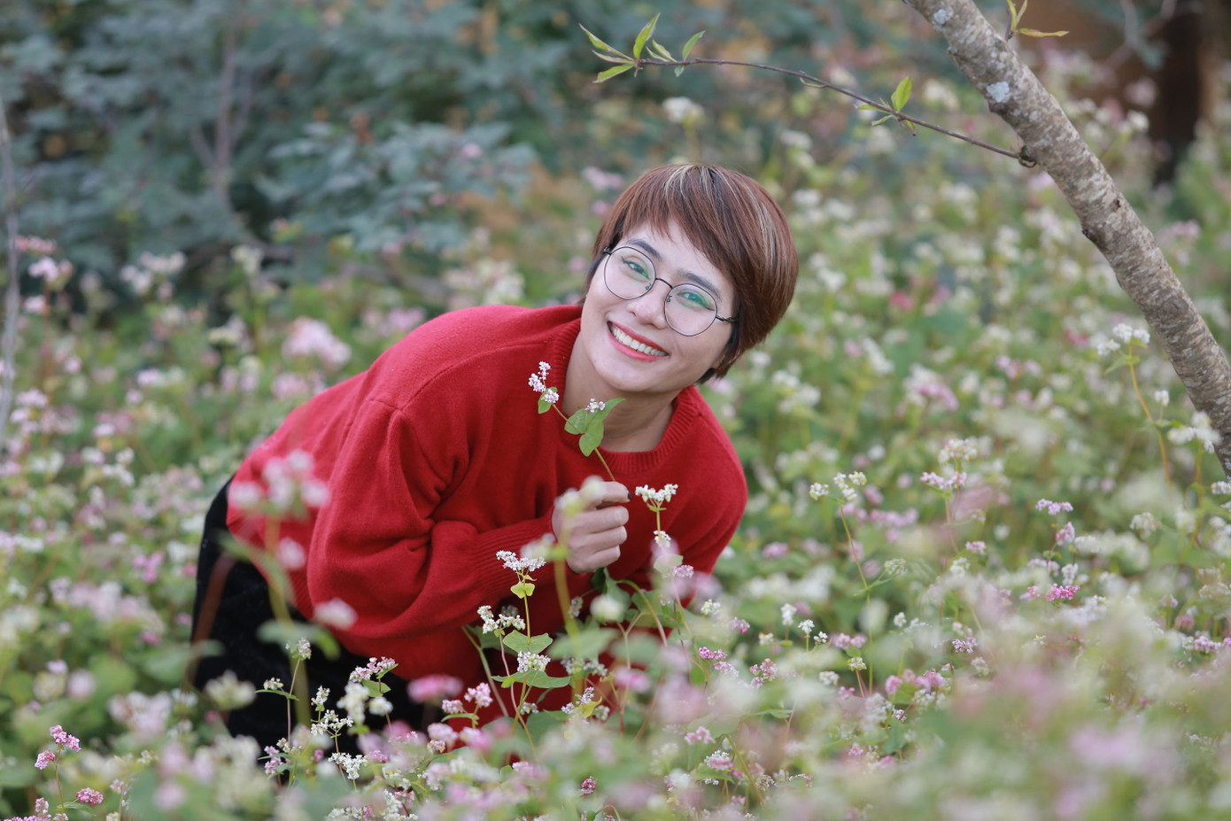 Chị Thanh Nguyễn tranh thủ "sống ảo" bên hoa tam giác mạch trên đỉnh Tà Xùa. Chị cho biết, không phải cứ Noel là phải chụp ảnh bên cây thông, ông già tuyết... mà có thể chọn bất cứ đâu, nơi nào mình yêu thích, đó mới là một ngày lễ thực sự ý nghĩa với bản thân.