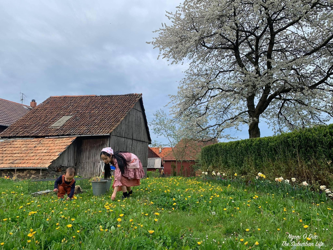 Hình ảnh Miên và con đang làm vườn. Ảnh: NVCC Hình ảnh Miên và con đang làm vườn. Ảnh: NVCC