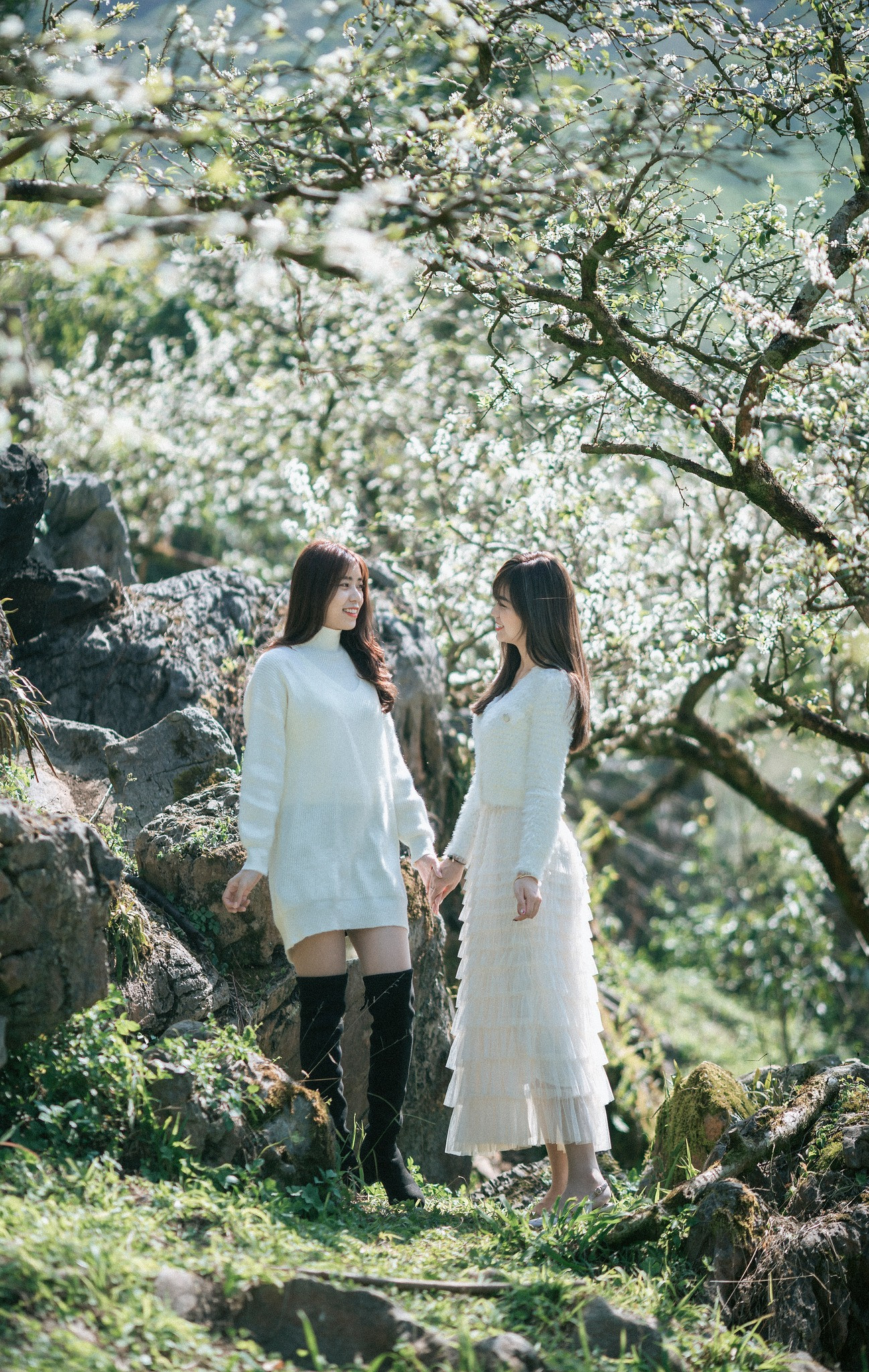 Các cô gái tuổi xuân thì khoe sắc bên hoa mận bên vườn mận Việt Hương, tiểu khu Chờ Lồng, thị trấn Nông Trường, Mộc Châu. - Ảnh: Quang Kiên