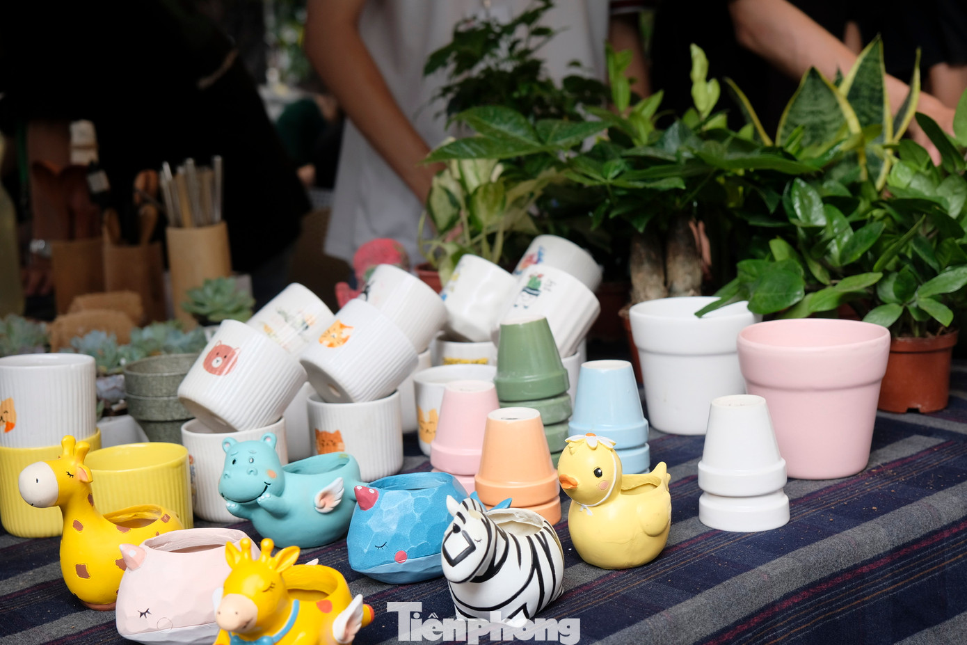 &quot;Bớt một cọng rác, thêm một mầm xanh&quot; là thông điệp của dự án muốn gửi tới các bạn trẻ khi đến đổi rác, lấy cây. Không chỉ vậy, dự án còn nhận được sự quan tâm của nhiều người qua con số gần 200 nghìn người theo dõi trên fanpage. Ảnh: Diệu Nhi