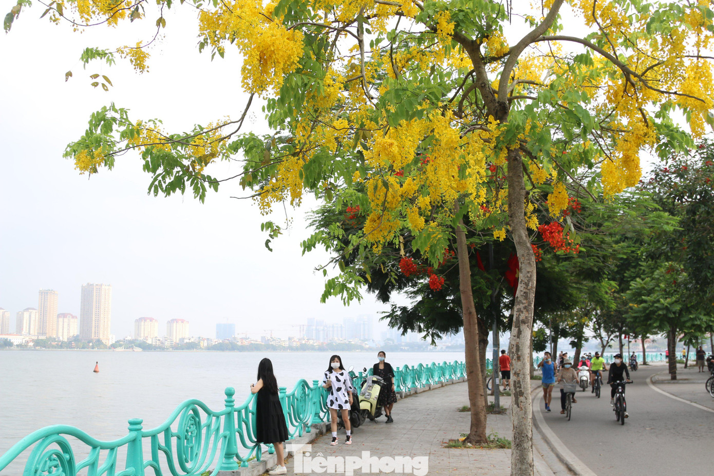 Nhiều người tranh thủ dậy sớm để tập thể dục quanh Hồ Tây vừa nâng cao sức khỏe, vừa ngắm nhìn vẻ đẹp của các loài hoa khoe sắc mùa hè.