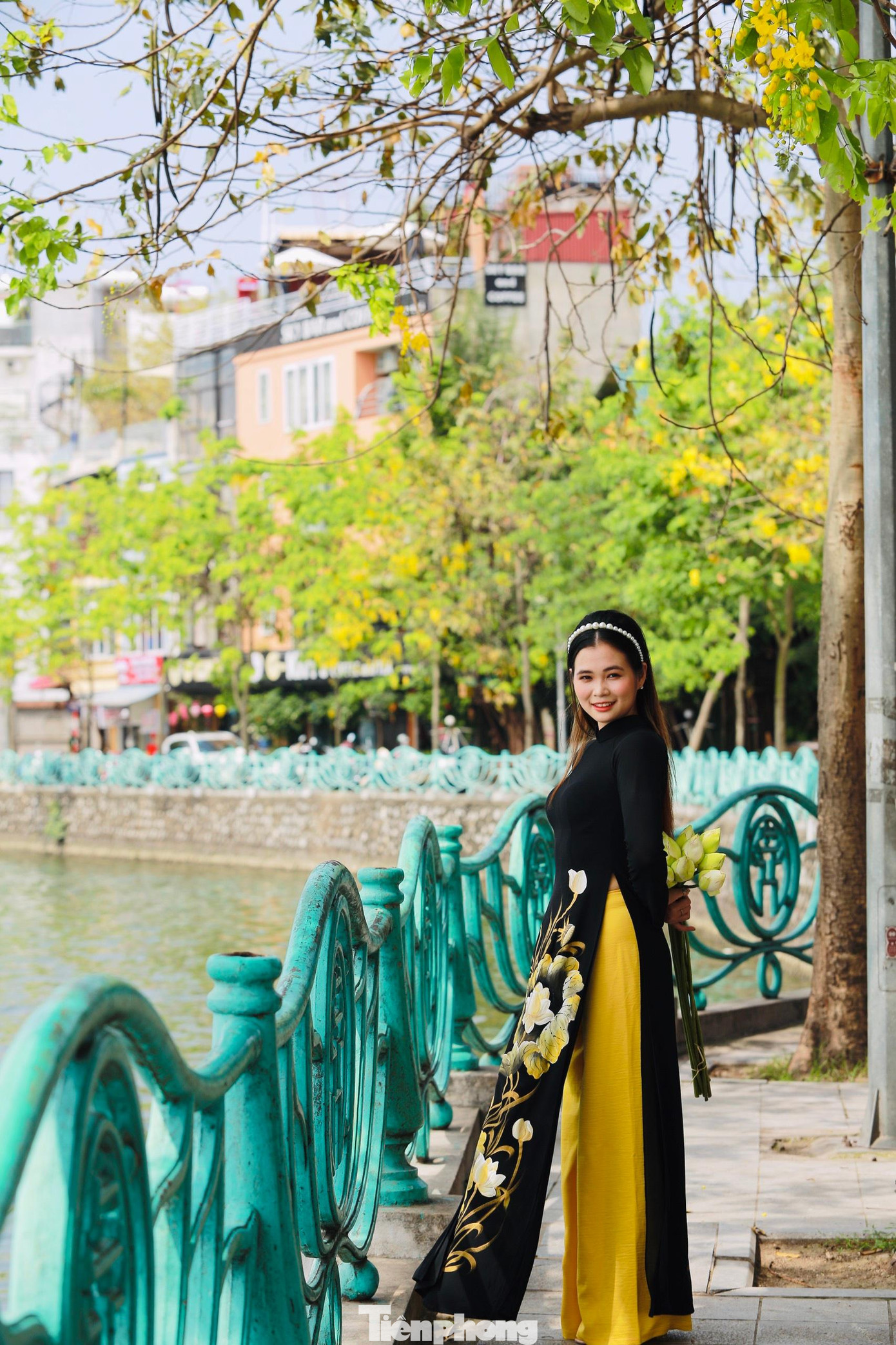 Chụp ảnh cùng hoa sen, Muồng hoàng yến bên Hồ Tây.