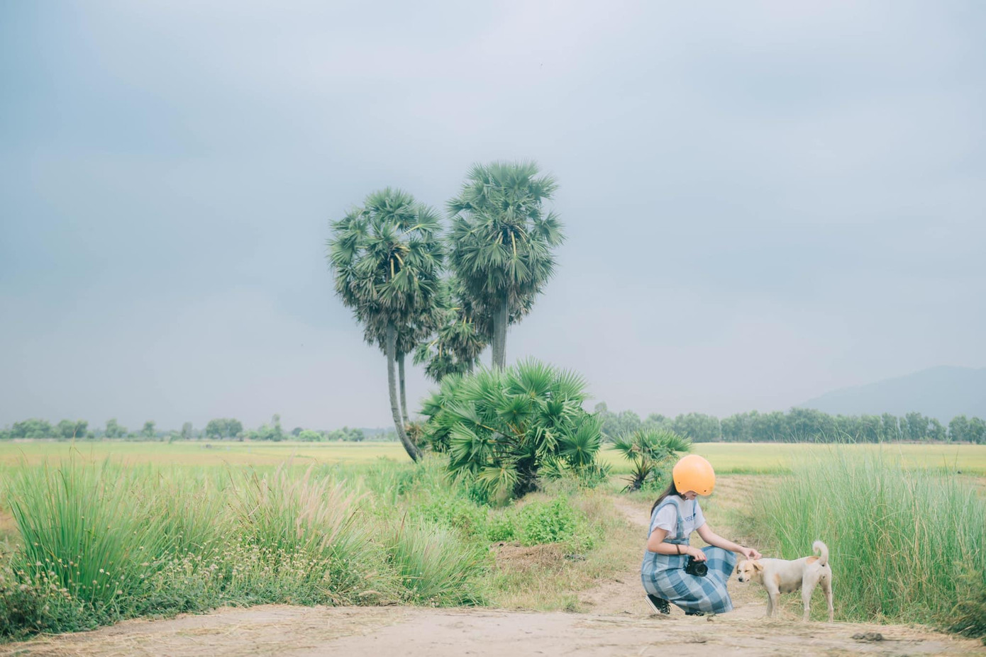 Những điểm đến Trang tâm đắc nhất và thổn thức vì đẹp là: Ninh Thuận và Phú Quý - Bình Thuận, An Giang, cung đường biển từ Vĩnh Hy đến Cà Ná và các cung đường ven biển miền Nam Trung Bộ.