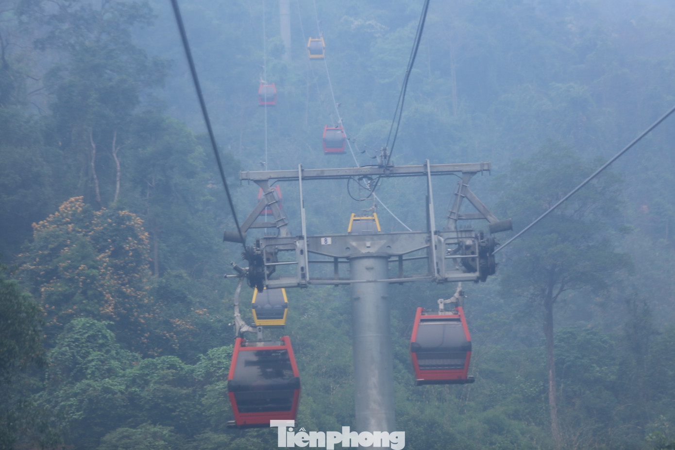 Đoàn đại biểu trải nghiệm đi cáp treo.