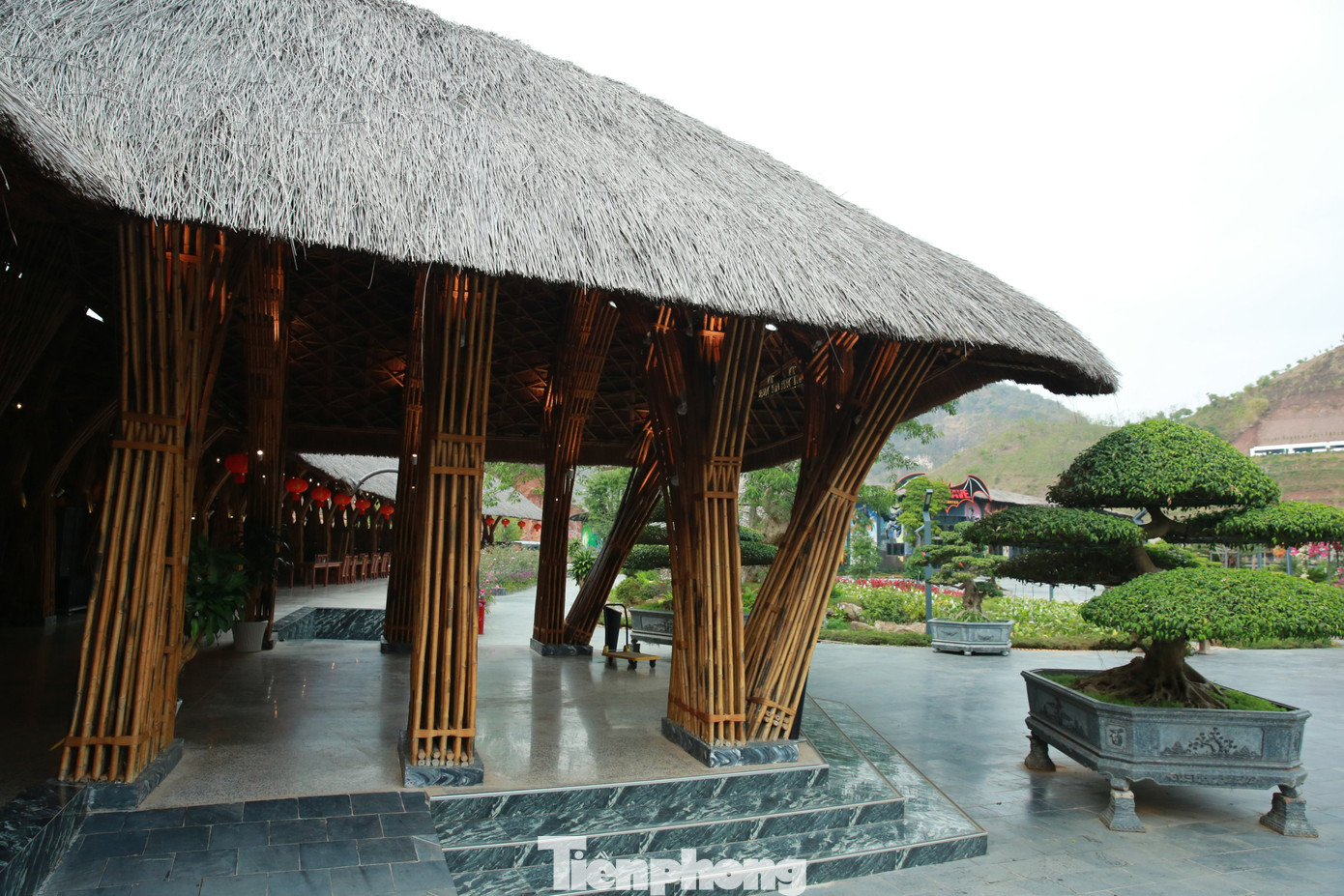 Nhà tre Tabamboo được thiết kế và hoàn thiện trong vòng một năm.