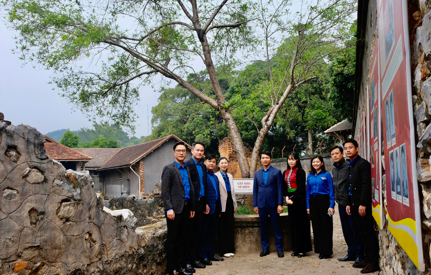 Cây đào Tô Hiệu đang &quot;hé&quot; những nụ hoa đầu tiên, khác với những cây đào nơi núi rừng Tây Bắc. Theo lời của thuyết minh viên, khi đồng chí Tô Hiệu bị giam tại đây đã lấy hột đào nhét vào kẽ hở trên tường. Giữa cảnh ngục tù tăm tối với sự tra tấn dã man của thực dân Pháp, hạt đào nảy mầm, vươn lên xanh tốt đã được ví như ý chí, sự gan dạ, bản lĩnh vươn lên của những chiến sĩ cách mạng năm xưa. Và hôm nay, đoàn công tác T.Ư Đoàn đã có dịp tham quan và chụp ảnh lưu niệm tại Cây đào Tô Hiệu.