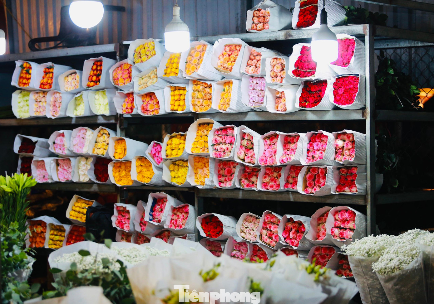 Các giống hoa hồng ngoại đủ màu sắc được trưng bày trên kệ làm say đắm những người yêu hoa. Đặc biệt, khi các loại hoa được chở đến chợ từ 23h đêm, người mua được tận hưởng mùi hương ngào ngạt, dịu nhẹ của mỗi loại hoa, thêm năng lượng tích cực đón chào ngày mới.