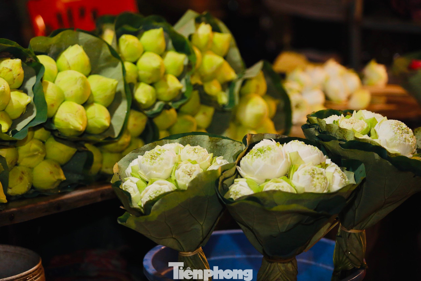 Chợ hoa lớn nhất Hà Nội có đa dạng các loại hoa khác nhau như hoa hồng, hoa cúc, hoa hướng dương, hoa sen, cẩm tú cầu… Các loại hoa đến từ nhiều vùng lân cận của trung tâm Hà Nội như: Phúc Yên, Gia Lâm, Đông Anh, Tây Tựu…