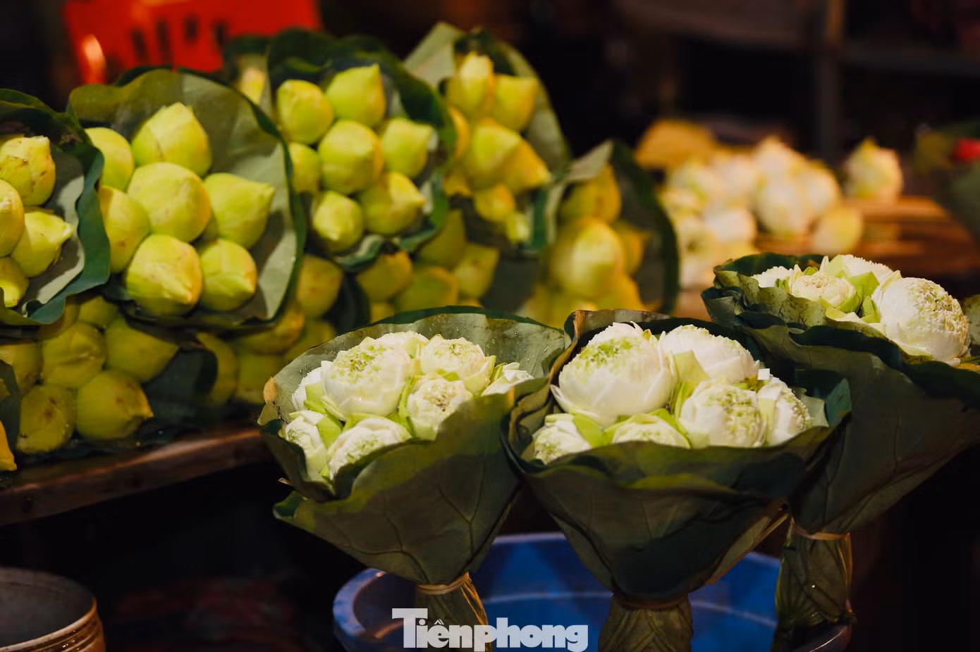 Chợ hoa lớn nhất Hà Nội có đa dạng các loại hoa khác nhau như hoa hồng, hoa cúc, hoa hướng dương, hoa sen, cẩm tú cầu… Các loại hoa đến từ nhiều vùng lân cận của trung tâm Hà Nội như: Phúc Yên, Gia Lâm, Đông Anh, Tây Tựu…