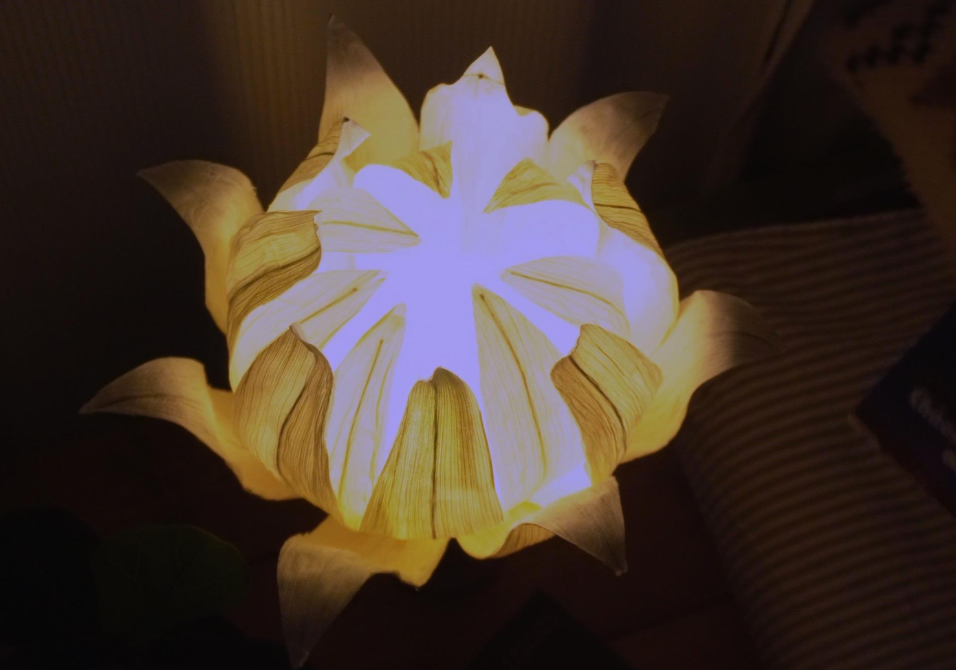 Đèn trang trí được làm từ vỏ bắp ngô.