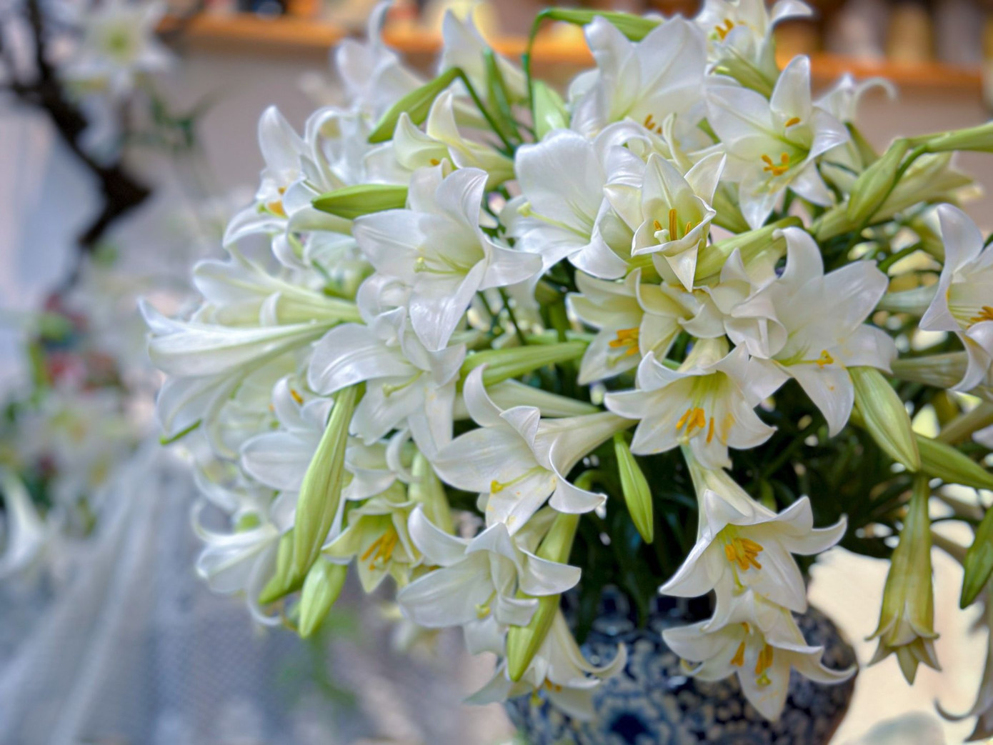 Chị Lưu Huyền Trang (SN 1988, làm quản lý tài chính ở Hà Nội) chia sẻ: "Mình cùng nhóm bạn đã tới tận vườn hoa loa kèn để đặt mua 2.200 bông nên có giá rẻ hơn bình thường. Để chào đón tháng Tư với nhiều năng lượng, chúng mình cùng tạo nên một không gian tràn ngập hoa loa kèn rực rỡ khoe sắc. Mình rất vui vì được bạn bè, người lạ, những người yêu hoa tìm đến phòng gốm tham quan và chụp ảnh".