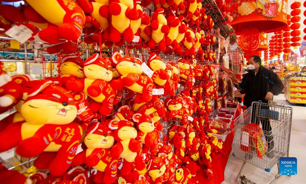 Cảnh tấp nập mua sắm tại một siêu thị chuyên bán đồ Á ở Toronto (Canada). Ảnh: Tân Hoa Xã