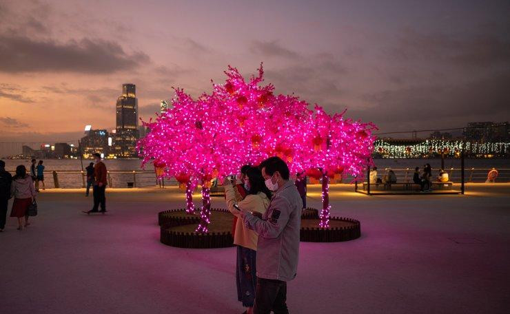 Người dân Hồng Kông chụp ảnh bên mô hình cây hoa đào trên bến cảng Victoria. Ảnh: EPA