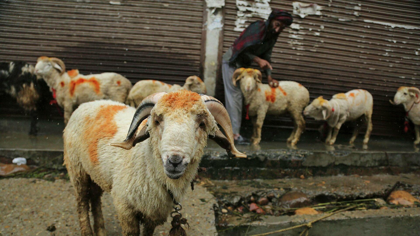 Ảnh minh hoạ: AP