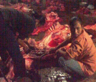 Bơm nước vào thịt bò tại lò mổ