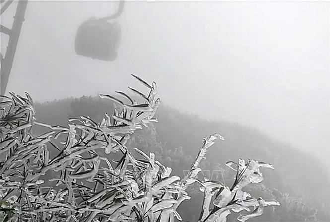 Băng giá phủ trắng các cành cây trên đường lên đỉnh Fansipan. Ảnh: Quốc Khánh/TTXVN Băng giá phủ trắng các cành cây trên đường lên đỉnh Fansipan. Ảnh: Quốc Khánh/TTXVN