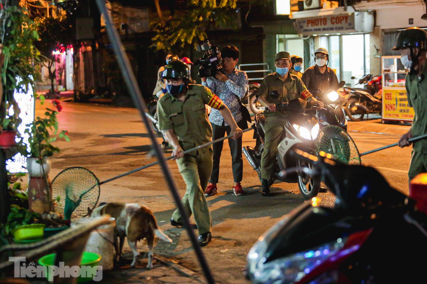 Các thành viên đội tổ chức vây bắt chó thả rông.