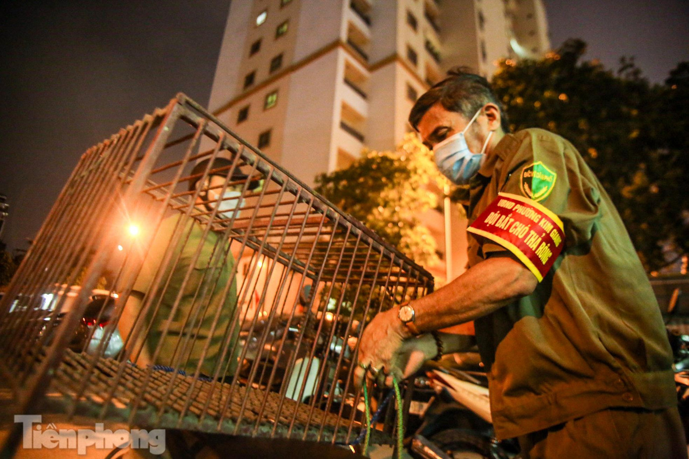 Ghi nhận của PV, tối 14/4, tổ đội bắt chó thả rông phường Kim Giang (quận Thanh Xuân) bắt đầu lên đường làm nhiệm vụ, các thành viên đi xe máy kiểm tra các tuyến phố, dùng vợt lưới để bắt chó rồi nhốt trong lồng sắt.