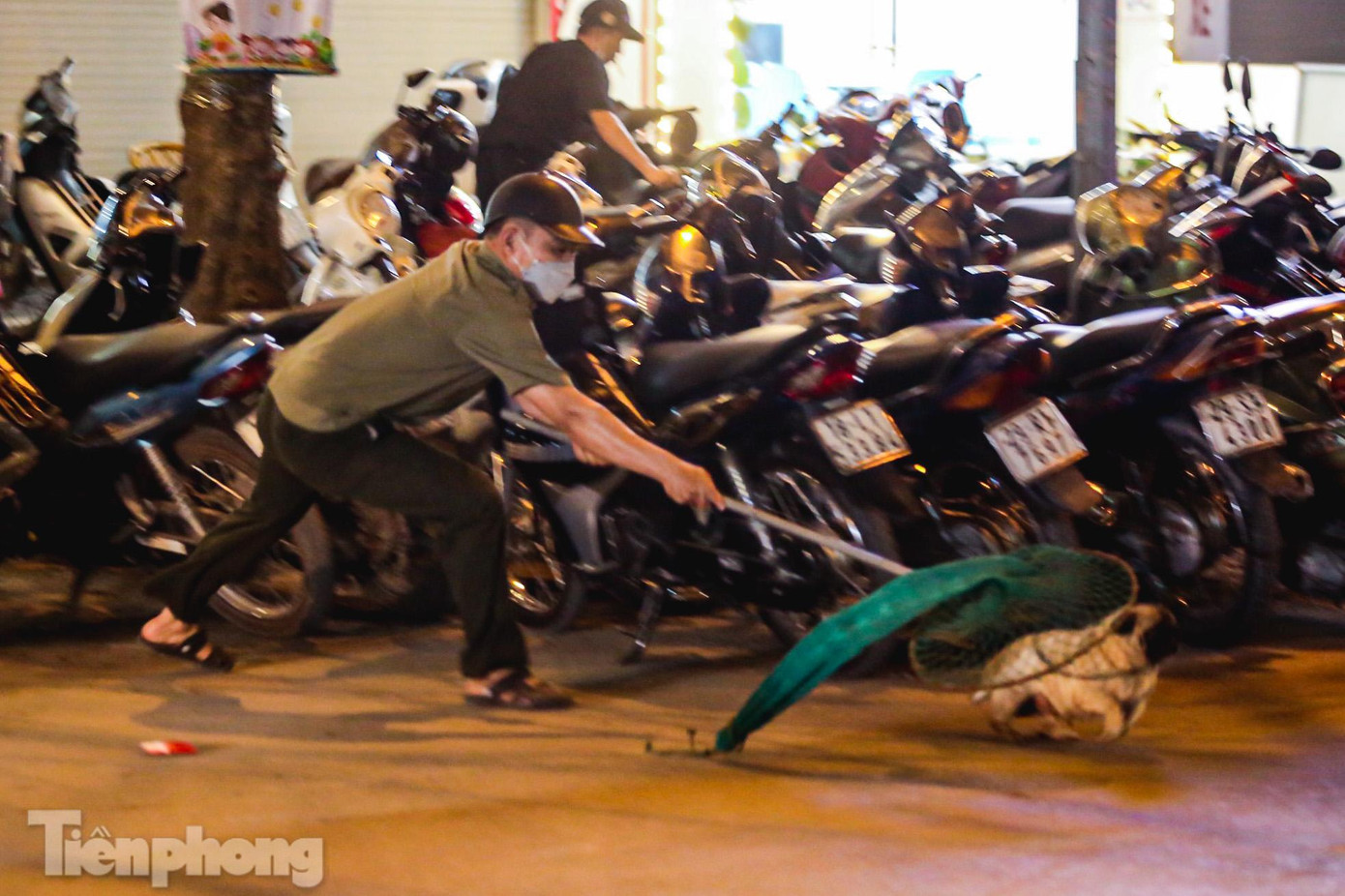 Dùng vợt lưới bằng ống thép để bắt chó.