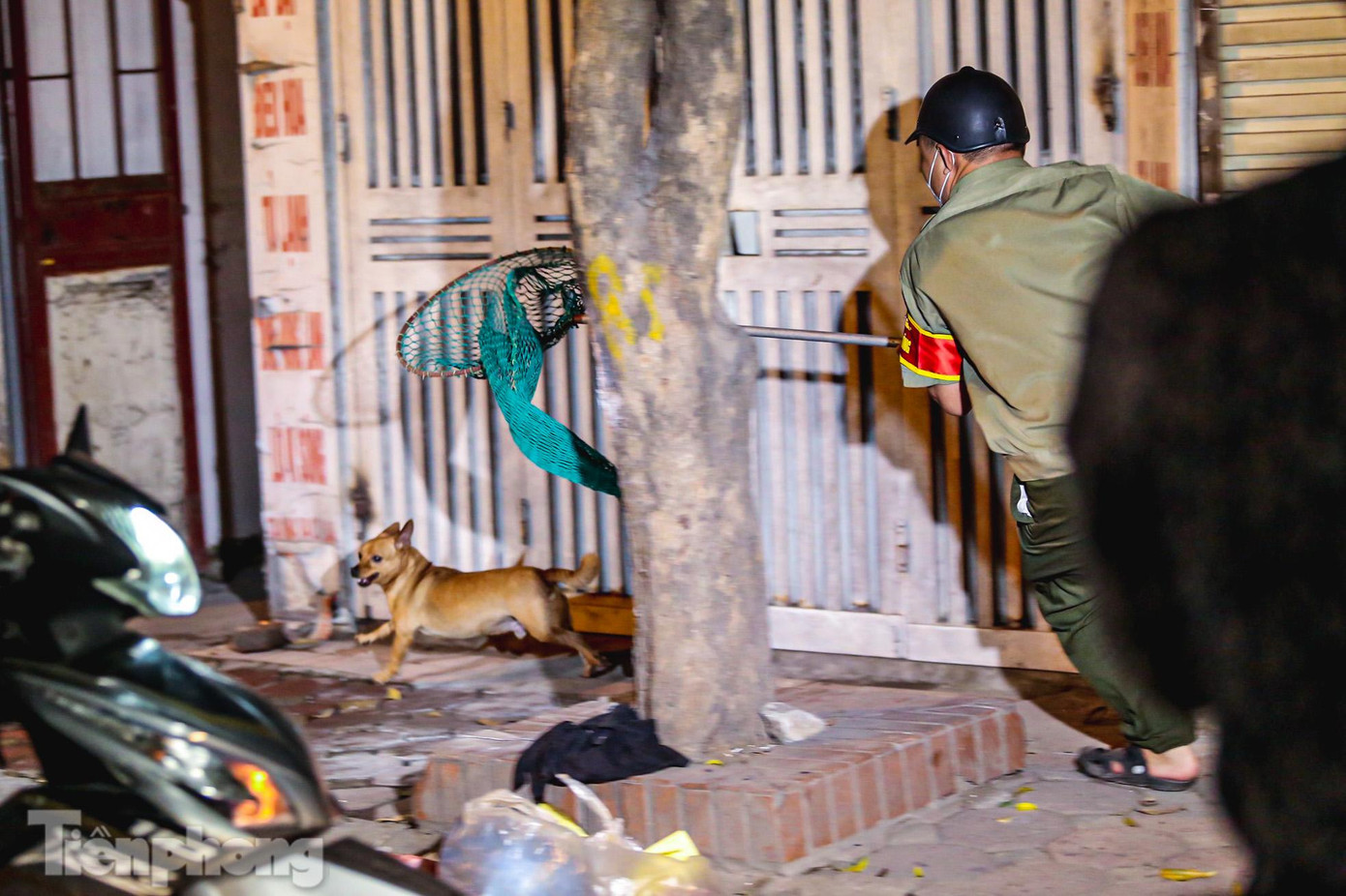 Sau gần 1 giờ đồng hồ, đội bắt chó thả rông đã bắt được hai trường hợp vi phạm.